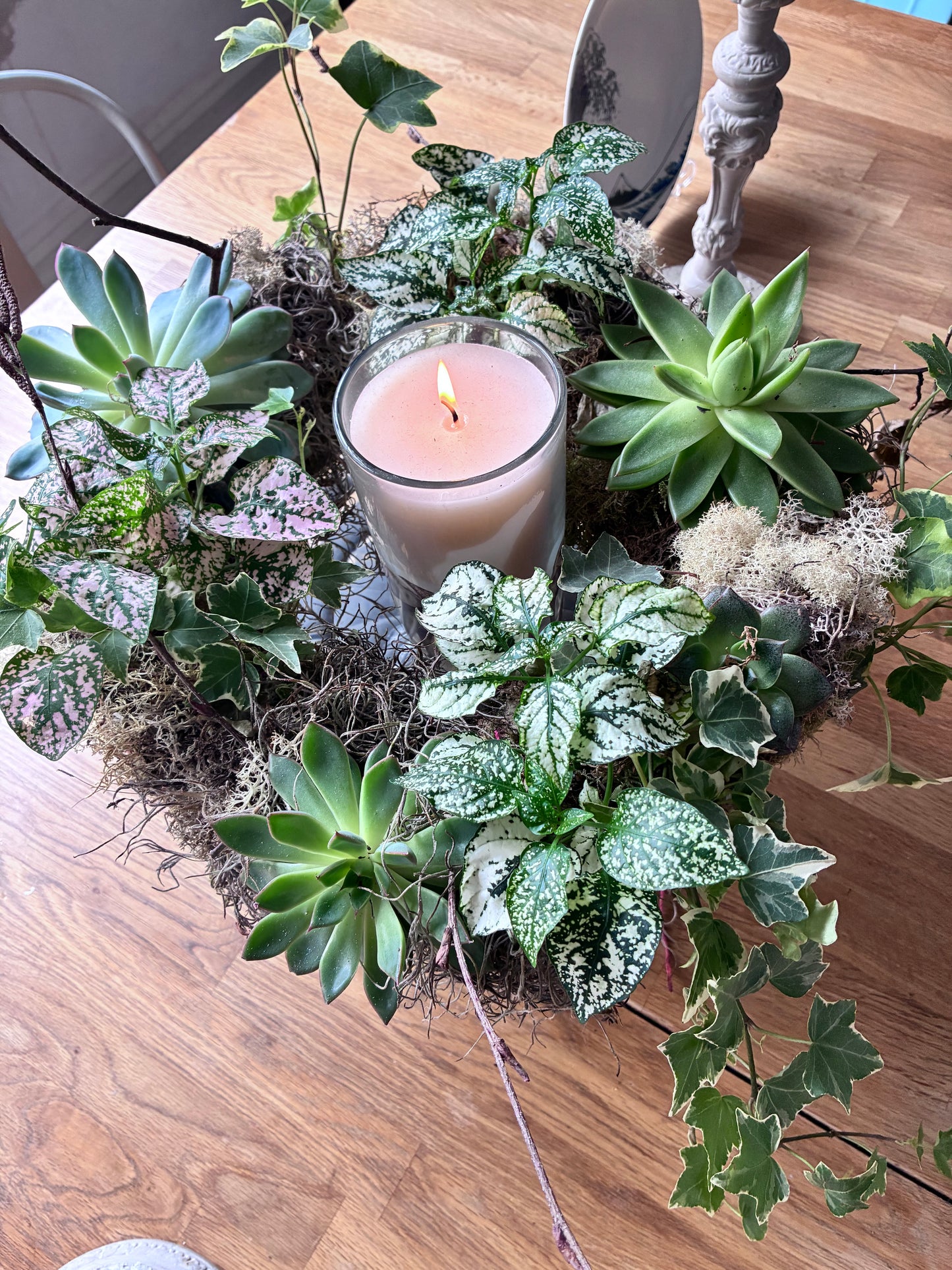 Living wreath