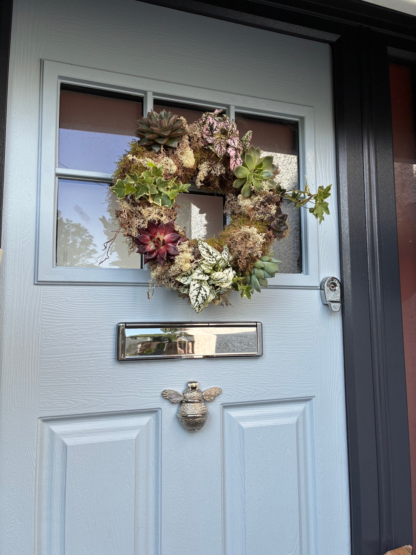 Living wreath