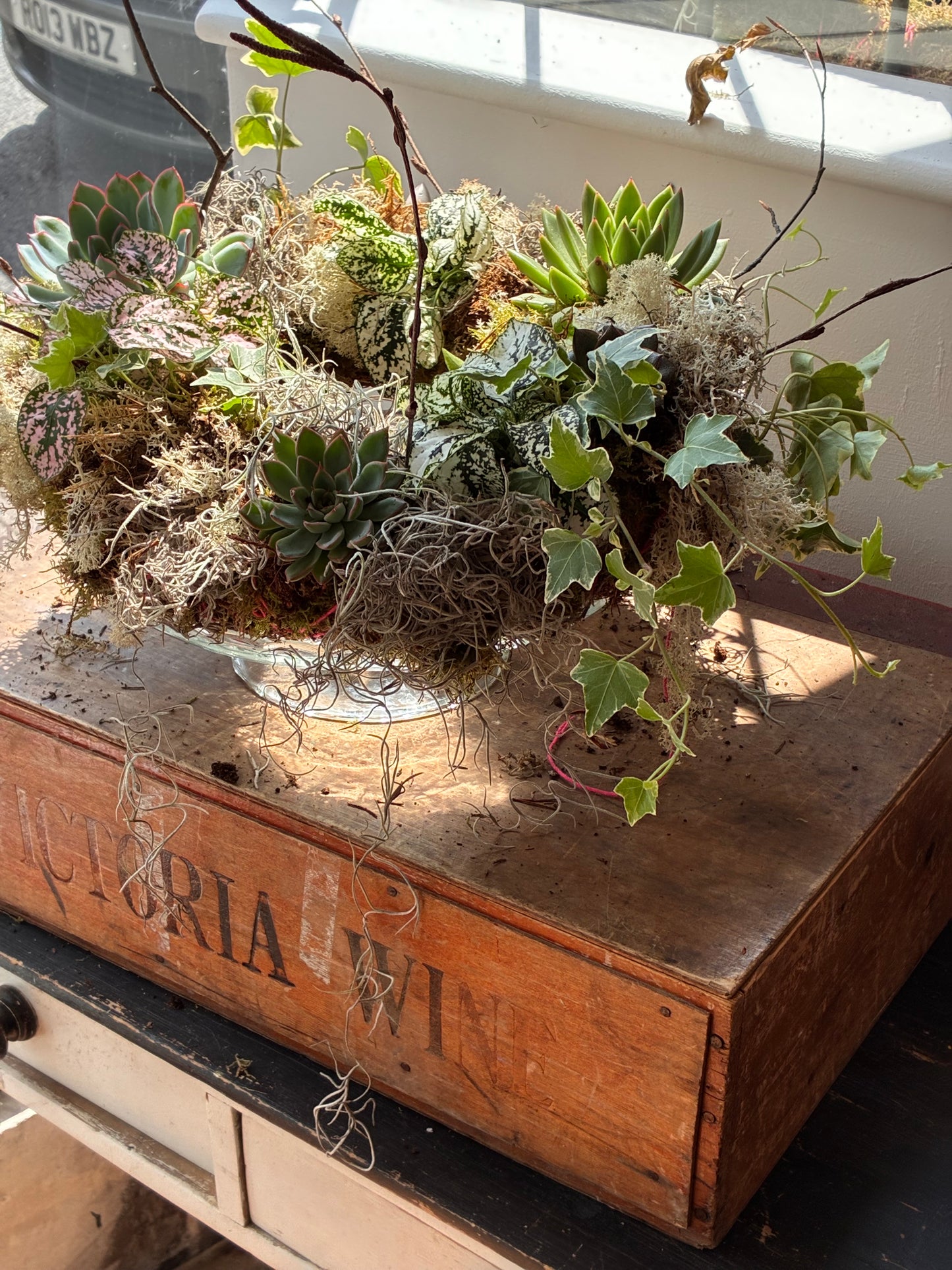 Living wreath