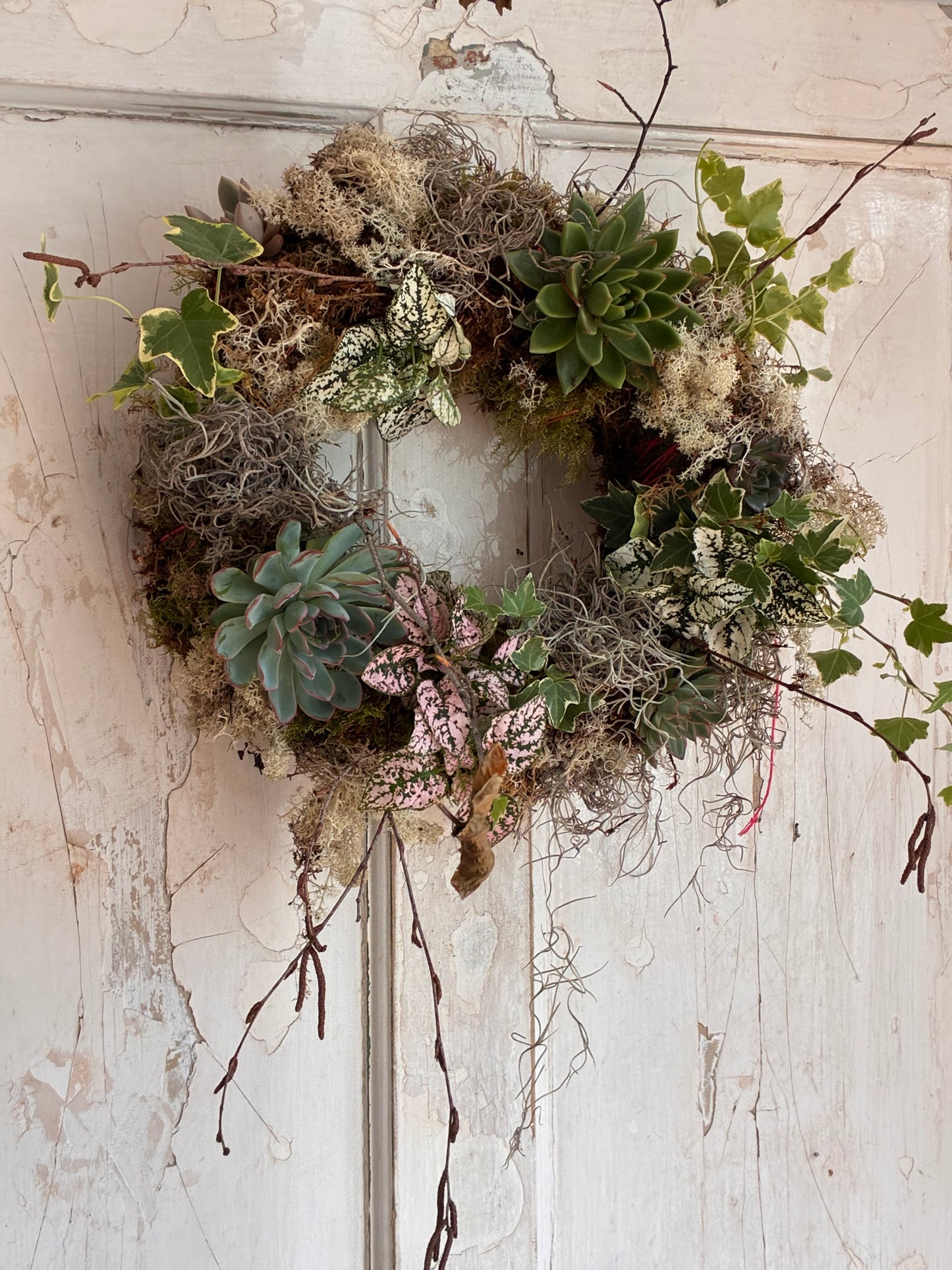 Living wreath