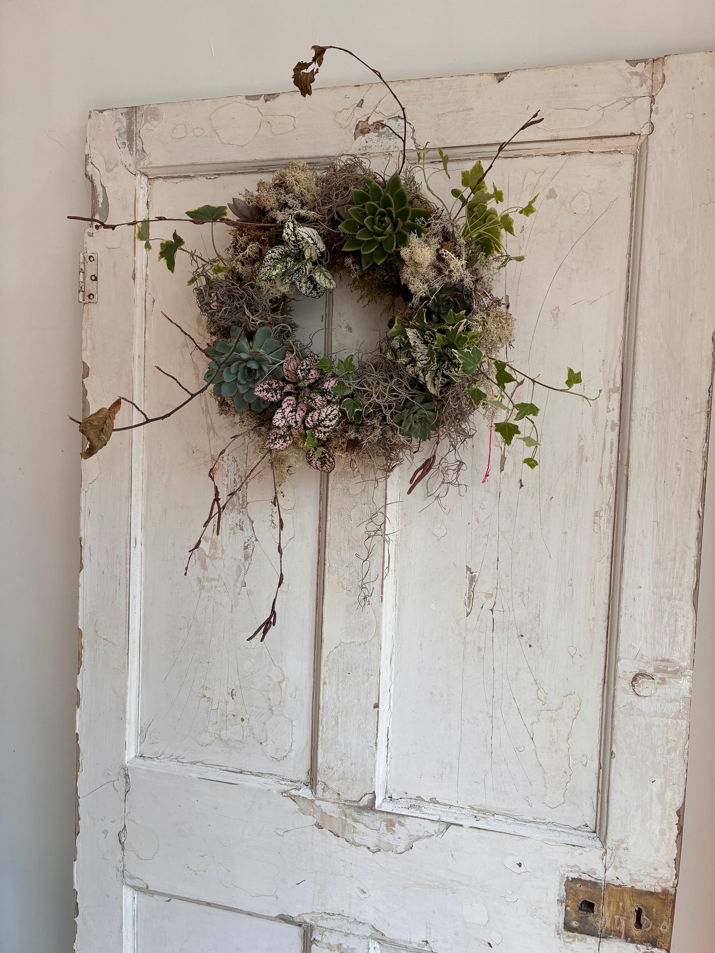 Living wreath