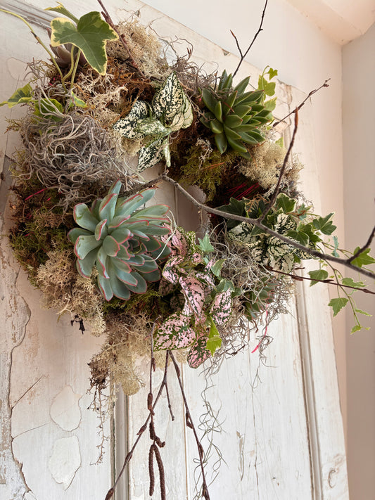 Living wreath