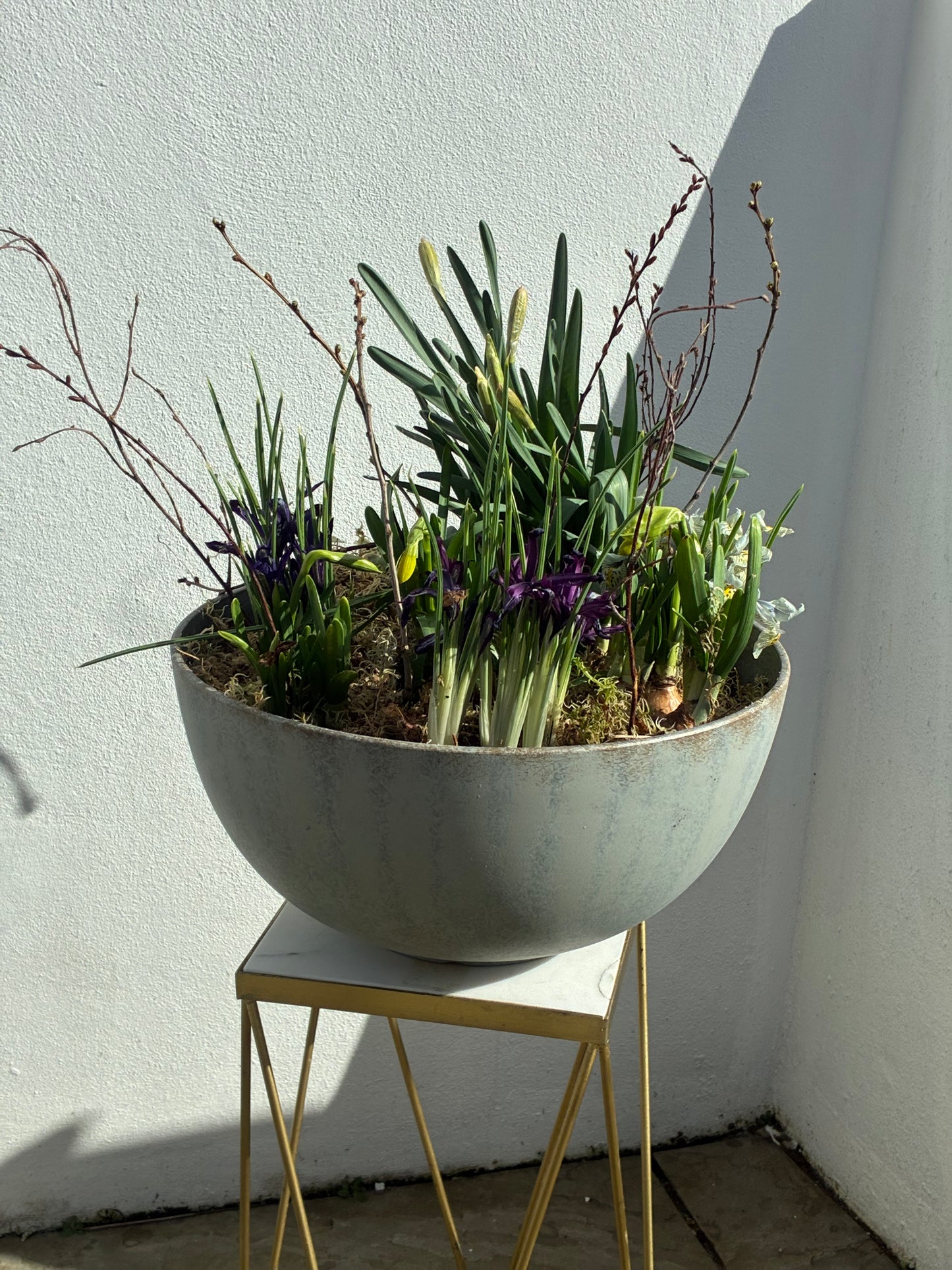 Spring bulb planter