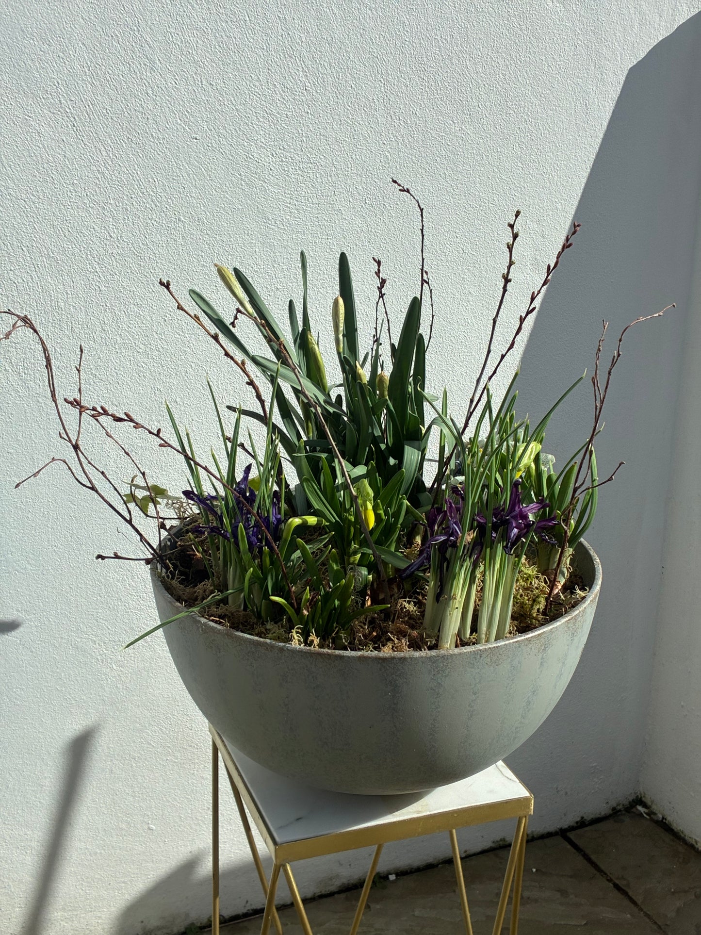 Spring bulb planter