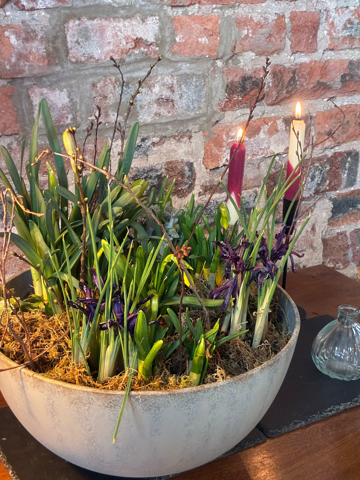 Spring bulb planter