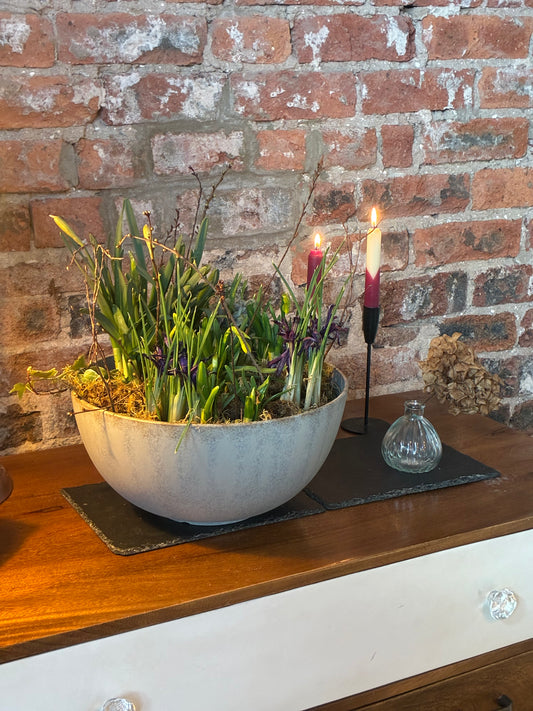 Spring bulb planter